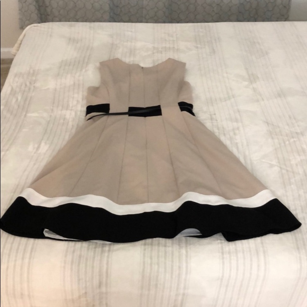 Calvin Klein Color Block Dress with Belt